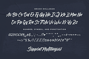 Brush Dollanan - Handwritten Font, a Handwritten Font by Ainun Jinan (Thumbnail 9 of 9)