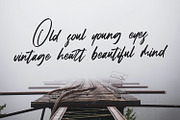 Falcon Harfing - Bold Script Font, a Script Font by StringLabs (Thumbnail 2 of 14)