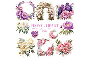 Watercolor Peony Clip Art, a Decorative Illustration by HoneyBunnyDigital (Thumbnail 1 of 14)