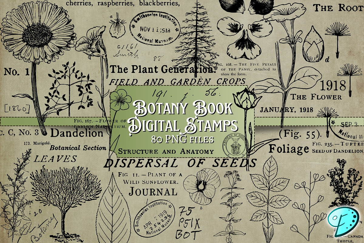 Botany Book Digi Stamps PNGs, an Object Graphic by Emily Designs (Photo 1 of 5)