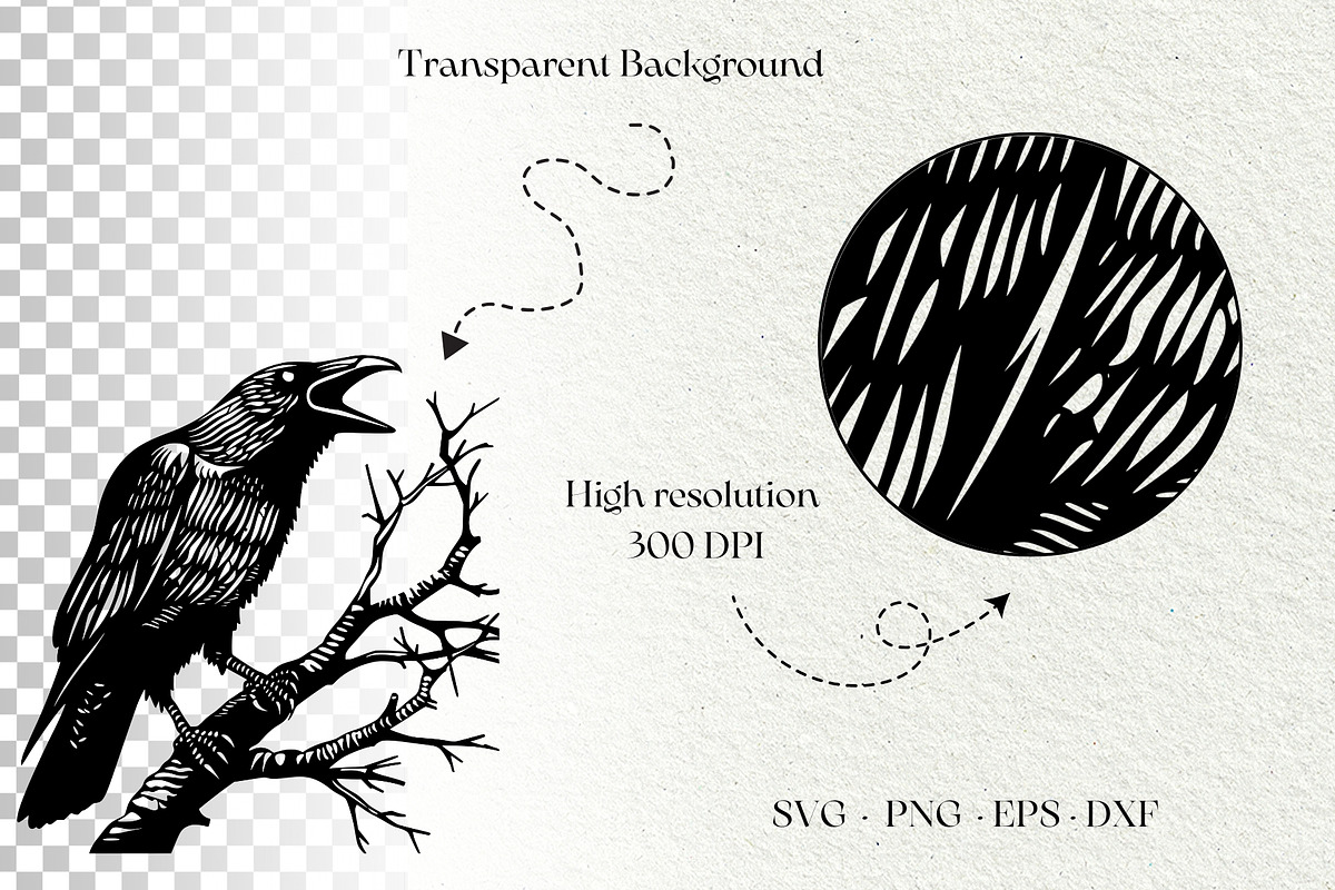 Crow SVG File. Raven Clipart PNG, an Animal Illustration by DENIDigitalArtSudio (Photo 8 of 8)