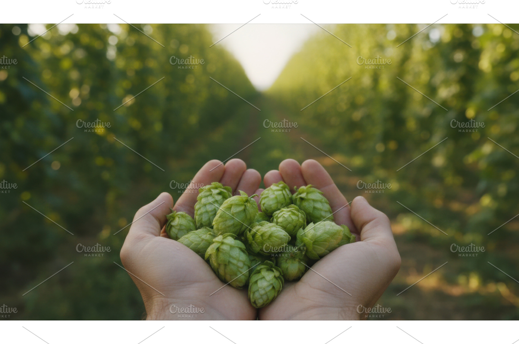 Hands holding handful of fresh green, a Nature Photo by Igor Tichonow