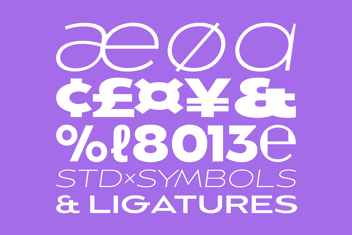 Balgin Font Family, a Sans Serif Font by Sundance Tipografia (Photo 11 of 22)