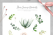 Living Coral - Duality Set, an Illustration by studioequinox (Thumbnail 10 of 16)
