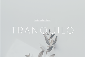 Tranquilo | Sans Serif Font