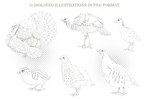 Graphic Farm Birds