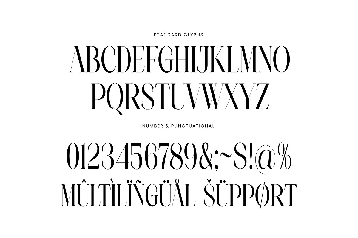 Najika Elegant Serif Font Typeface, a Serif Font by Perfectype (Photo 7 of 7)