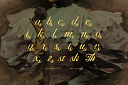 The Disma Calligraphy Script Font, a Script Font by Elegant Font (Thumbnail 10 of 10)