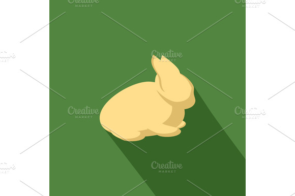Rabbit preview 2