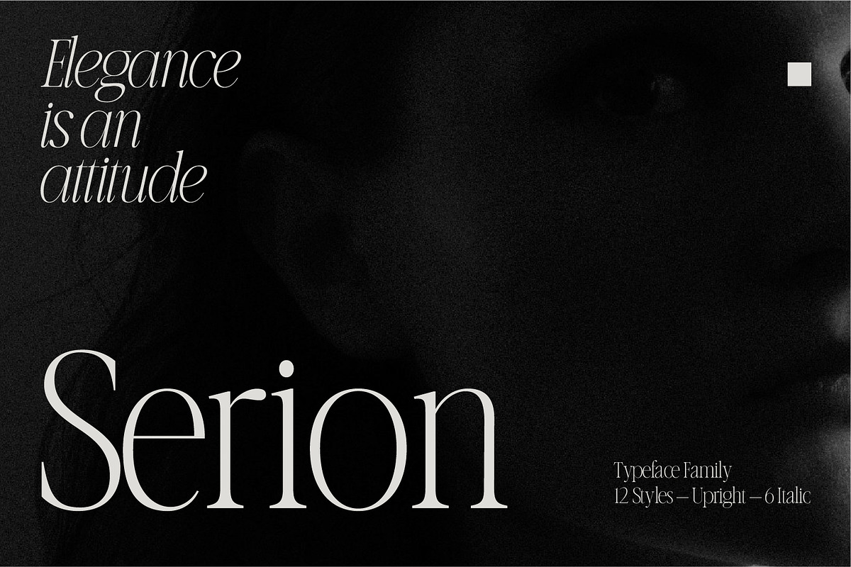 Serion Family, a Serif Font by Prestige Artsy Studio (Photo 1 of 10)