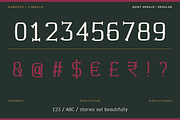 Quiet Herald – Vintage Letterpress, a Serif Font by Sk designs (Thumbnail 9 of 20)