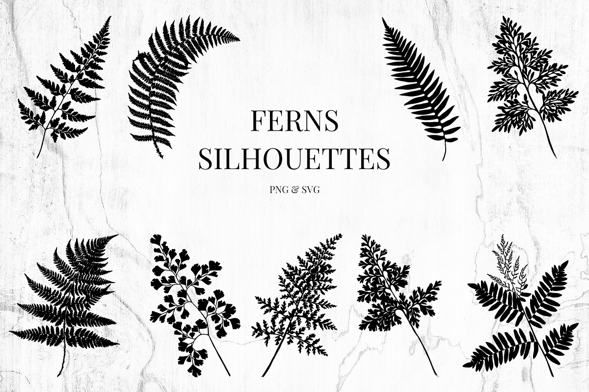 Fern and Grass Silhouettes, a Decorative Illustration by AW Studios (Photo 2 of 6)