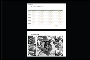 Presentation Template InDesign 17x11