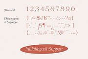 Naervik | Modern Serif, a Serif Font by Denustudios (Thumbnail 11 of 13)