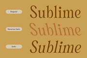 CS Dustine – Elegant Font, a Serif Font by Craft Supply Co. (Thumbnail 2 of 8)