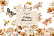 Watercolor Vintage Botanical Clipart, an Illustration by beatriceviyiwi (Thumbnail 1 of 6)
