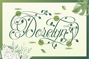 Herlyna, a Script Font by Burntilldead (Thumbnail 10 of 12)