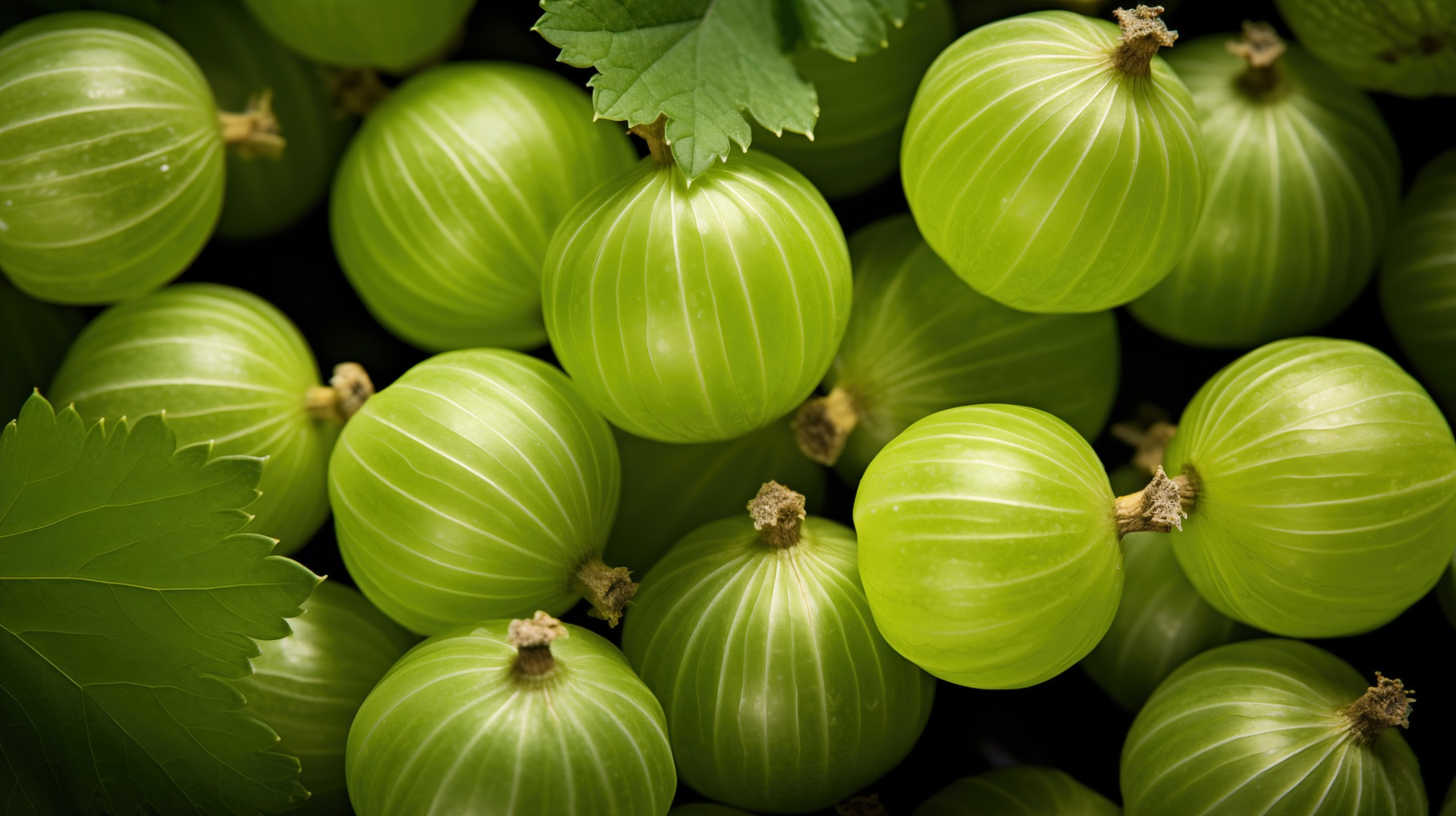 Gooseberries texture background, a Background Photo by Textures ...