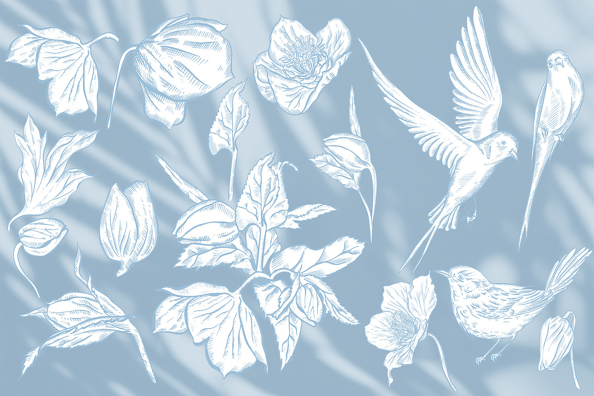 Graphic Blue 3 Wedding Collection, an Object Graphic by Knopazyzy (Photo 13 of 14)