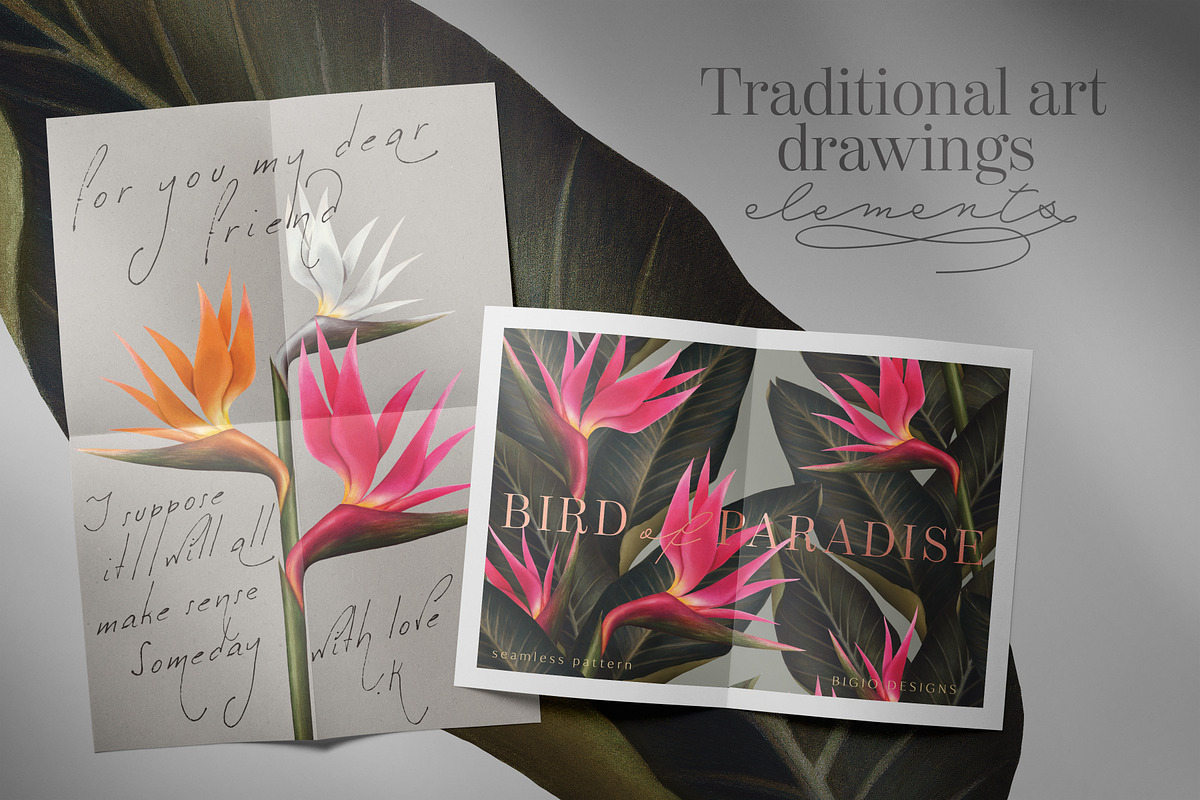 Bird of Paradise patterns, a Pattern Graphic by Bigio Designs (Photo 6 of 7)