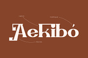 Zellique - Modern Serif Font, a Serif Font by Rishsketch (Thumbnail 6 of 15)