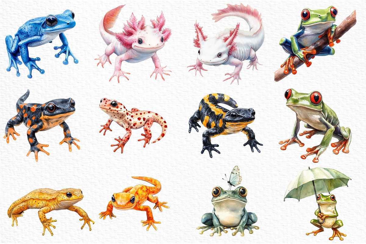 Watercolor Amphibians Clipart, an Illustration by Craft Nest (Photo 2 of 6)