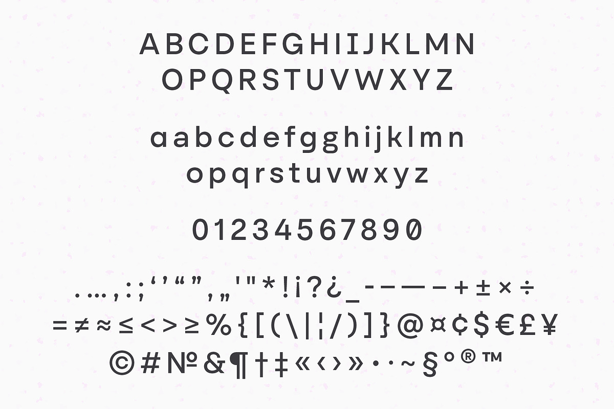 YNF Norman | 9 weights sans serif, a Sans Serif Font by YNF (Photo 5 of 51)