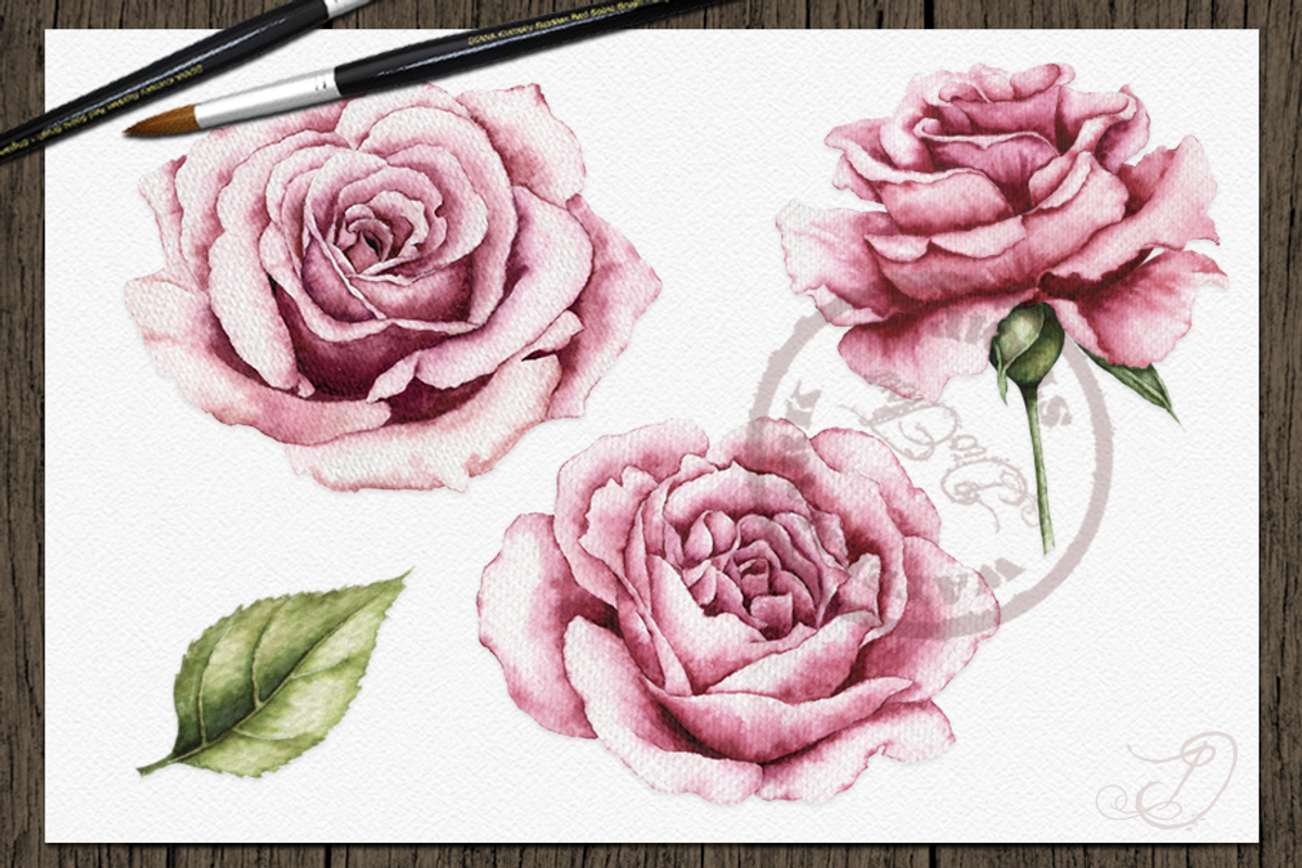 Vintage Roses Illustration, a Decorative Illustration by DioFlow (Photo 2 of 5)