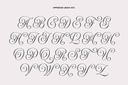 Rocksane Display, a Serif Font by Andrey Sharonov (Thumbnail 10 of 18)