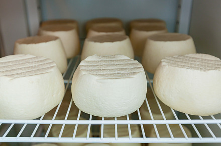 cheese heads in a cheese dairy, a Photo by Photostock
