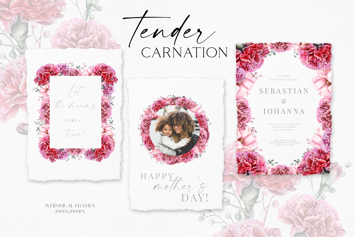 Red Carnation, an Illustration by Olga Koelsch (Photo 6 of 8)