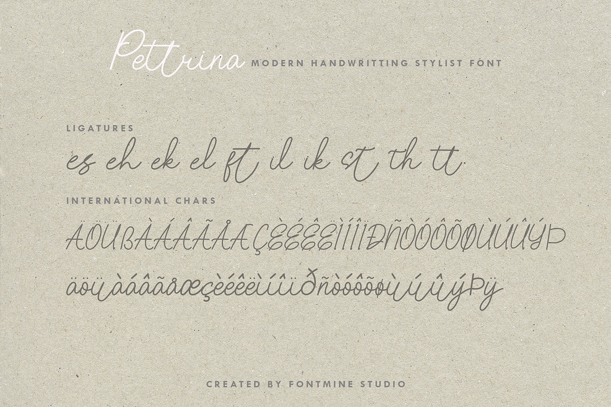 Pettrina, a Script Font by Fontmine Studio (Photo 11 of 11)