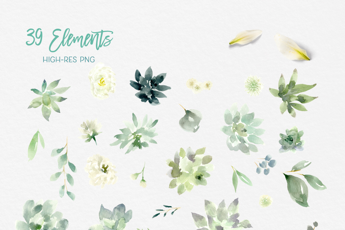 Succulents, White Flowers & Greenery, an Illustration by Kim Thoa Designs (Photo 11 of 12)