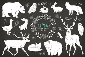 Hand Drawn Animals And Plants