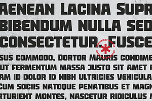 Jack Tiger Sport Font