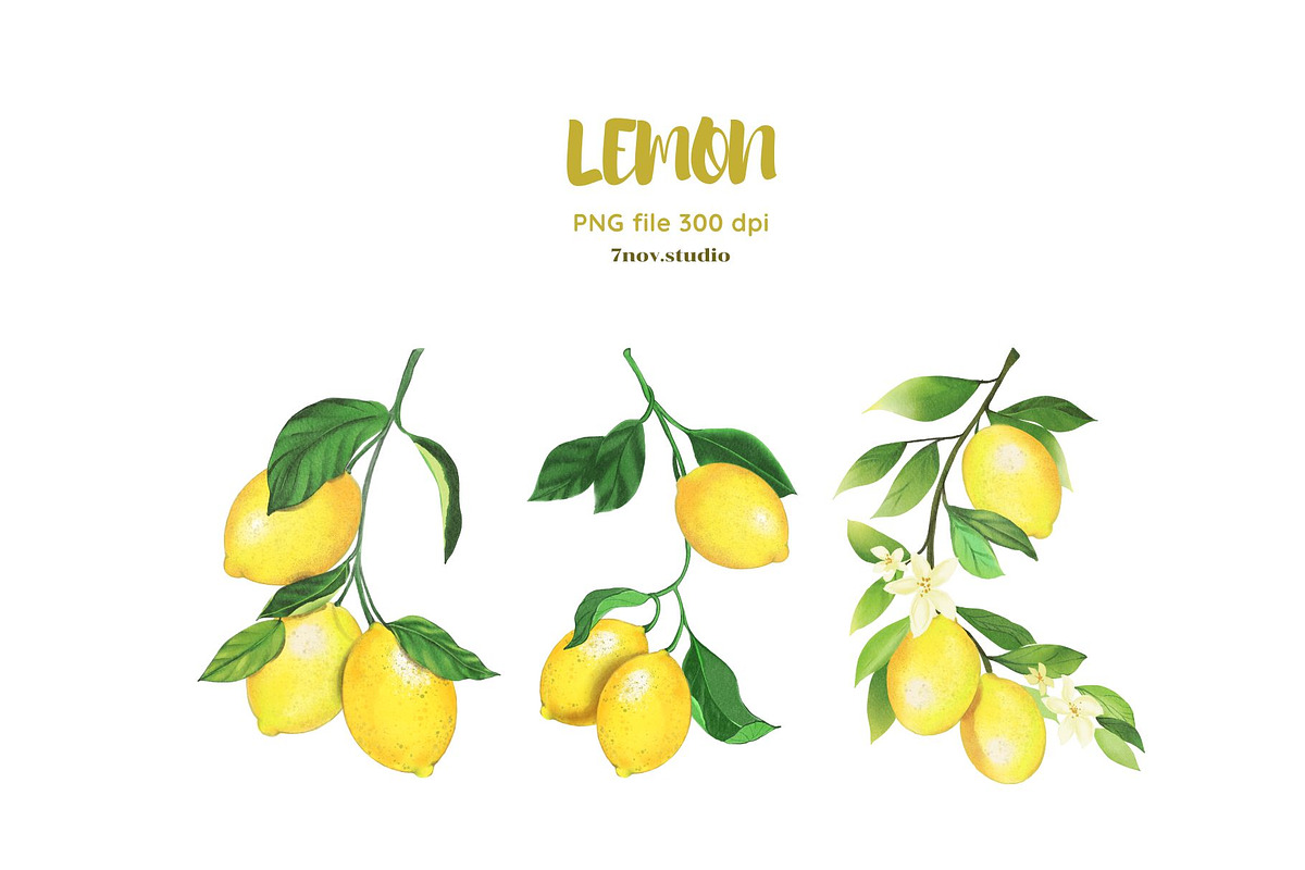 Lemon clip art, a Decorative Illustration by 7nov.studio (Photo 6 of 6)