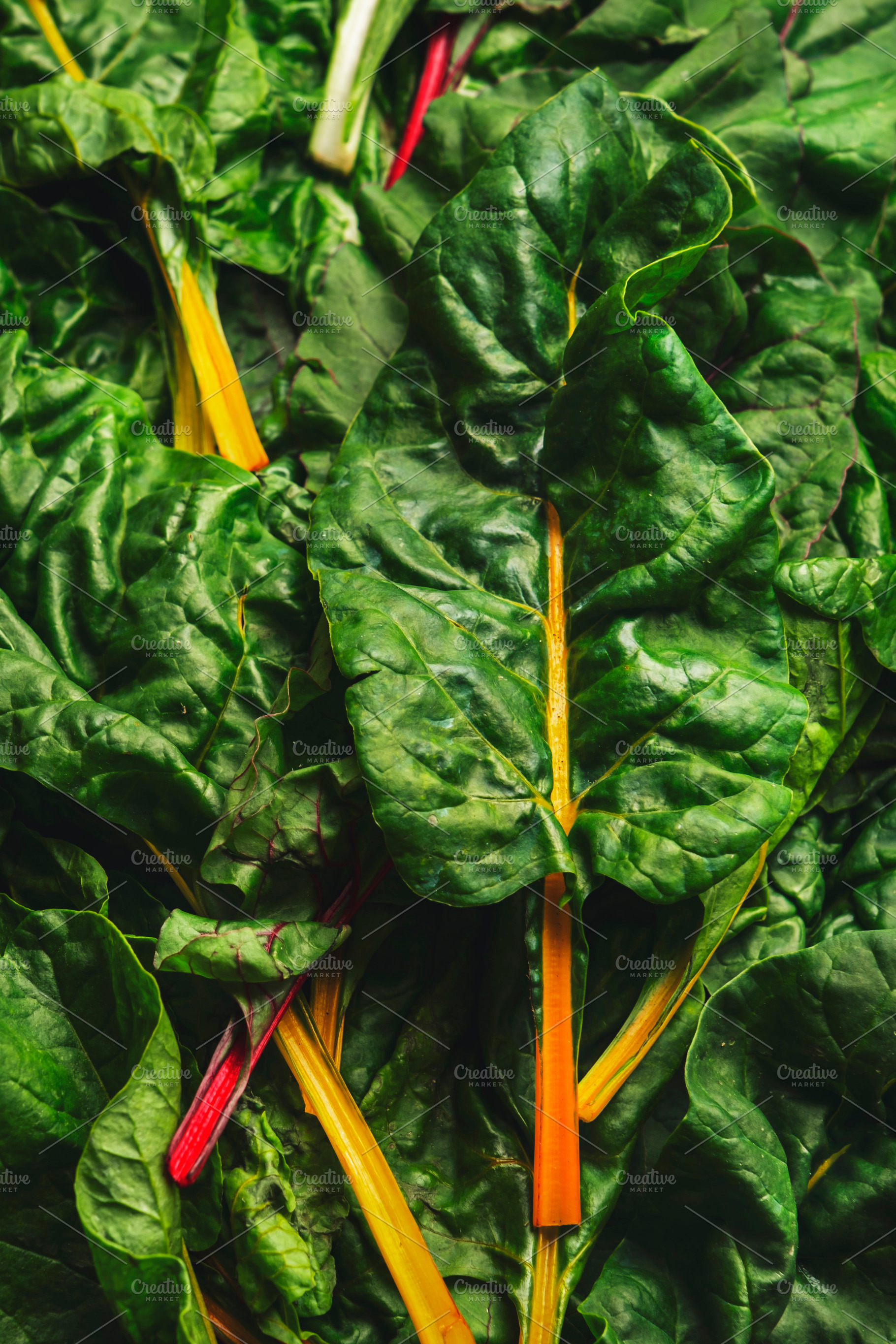 Rainbow swiss chard leaves on rusty background, raw green leaf v, a Food & Drink Photo by 5PH