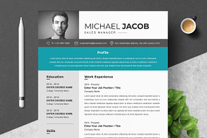 Sales Manager Resume Template Format