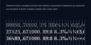 Romis, a Serif Font by Finaltype (Thumbnail 6 of 22)