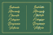 Amigdal Bold Calligraphy Font, a Script Font by stylishtype.co (Thumbnail 14 of 20)