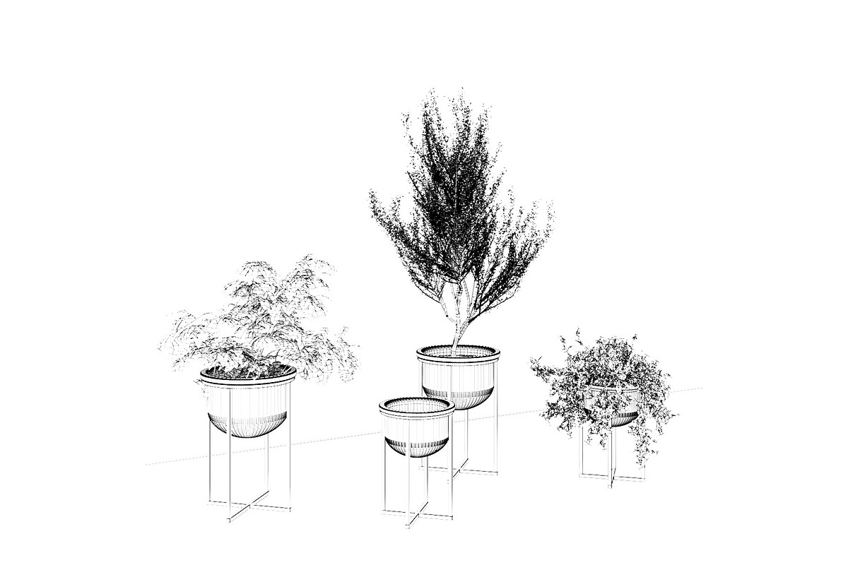 Interior Plants Trio, a Furniture 3D Model by 3DCargo (Photo 7 of 9)