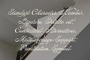 ED Lavonia - Classy Script, a Script Font by Emyself Design (Thumbnail 9 of 12)