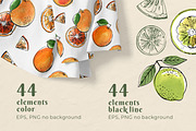 Citrus sketch. Oranges and lemons, a Food Illustration by irina.vaneeva (Thumbnail 2 of 11)