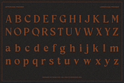 Eregine Retro Display Serif Font, a Serif Font by Rasio Studio (Thumbnail 2 of 10)