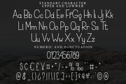 Chicken hawk, a Sans Serif Font by FreshTypeINK (Thumbnail 4 of 8)
