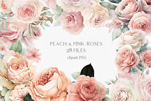 Peach And Pink Roses Watercolor Clip