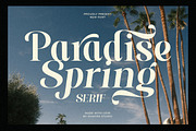 Paradise Spring - Soft Elegant Serif, a Serif Font by Shakira Studio (Thumbnail 1 of 10)