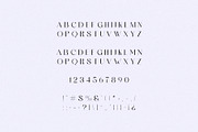 Celore Family (12 Fonts), a Sans Serif Font by Schrifted Type (Thumbnail 12 of 14)