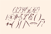 Safronia Ink Scipt Font, a Script Font by Berdansabersama (Thumbnail 3 of 10)