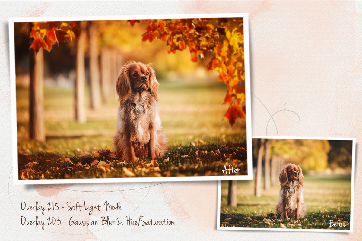 Autumn Leaves Overlays preview 4